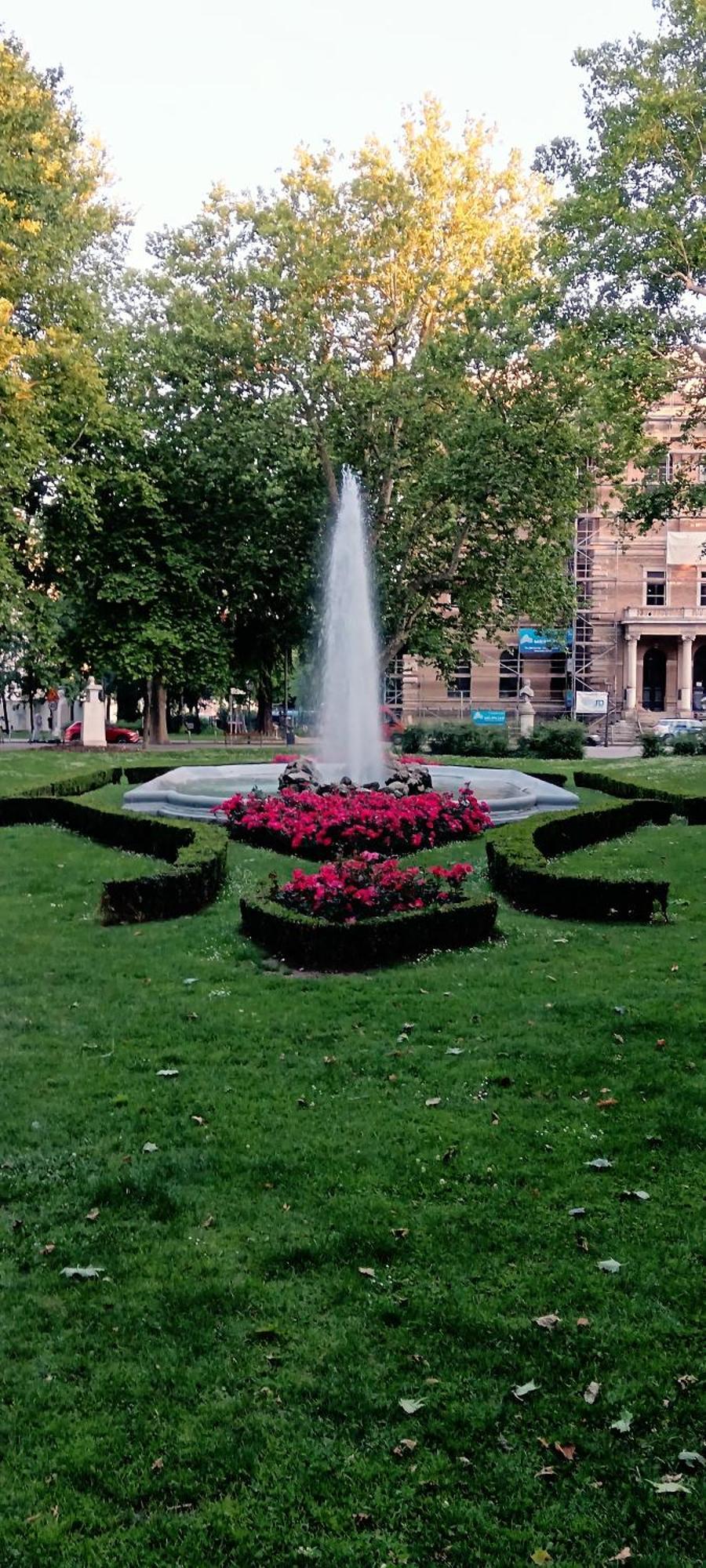 Apartment Center, Masha *